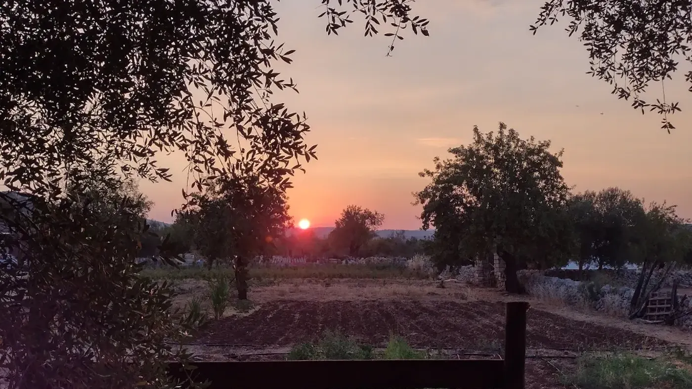 Tramonto sull'orto Il Bergamotto Noto